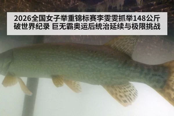 2026全国女子举重锦标赛李雯雯抓举148公斤破世界纪录 巨无霸奥运后统治延续与极限挑战