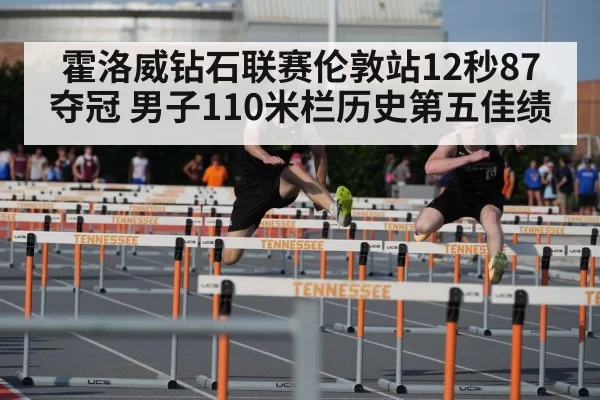 110m hurdles race
