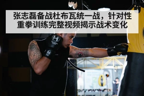 张志磊备战杜布瓦统一战,针对性重拳训练完整视频揭示战术变化